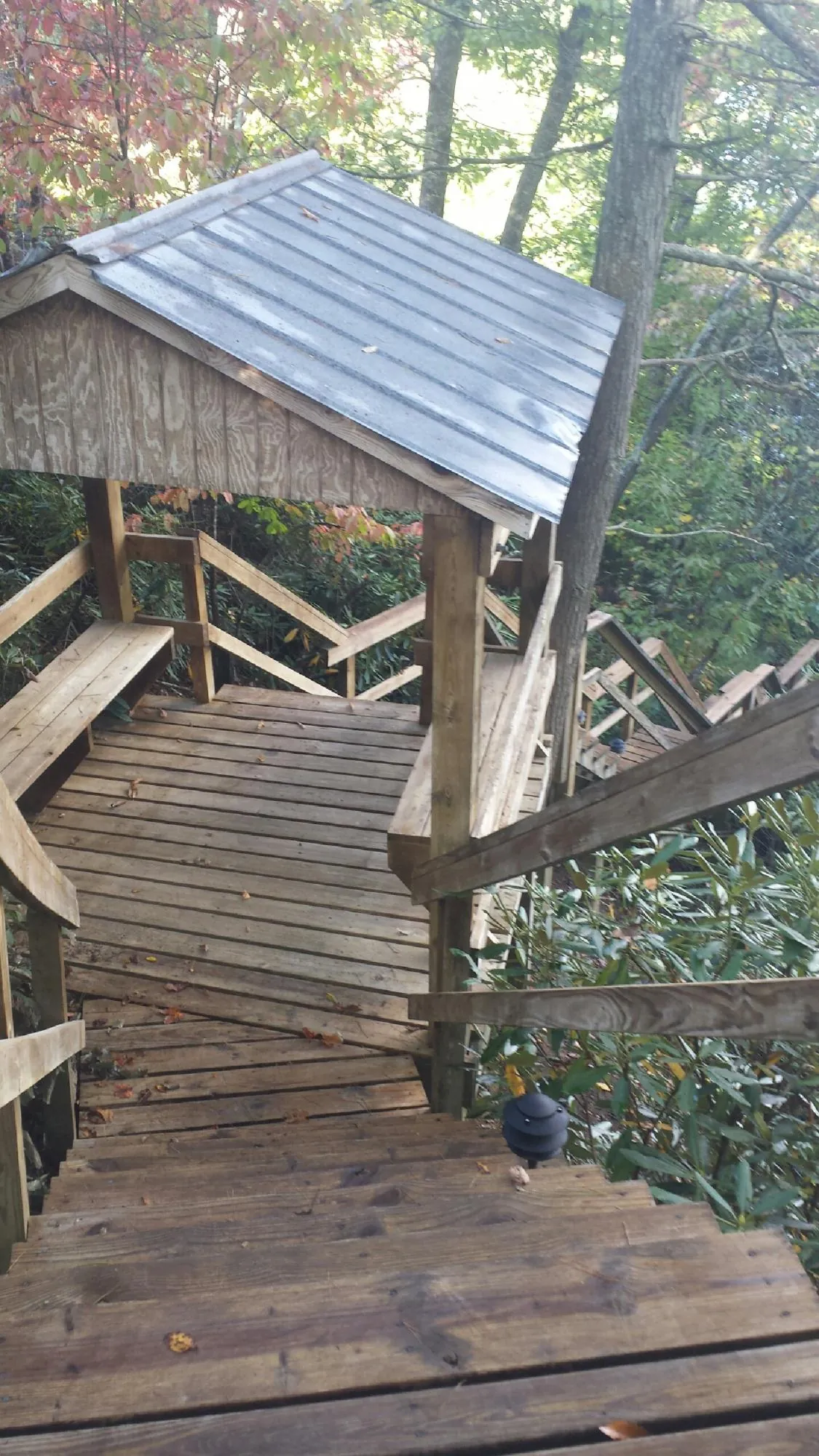 Metal roofed shelter over wooden steps on a wooded walkway — Skylight Repair & Installation work by our crew in Tussy